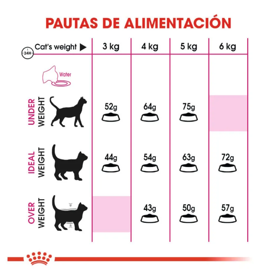 Royal Canin Regular Fit 32 pienso para gatos Discount