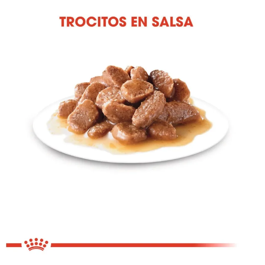 Royal Canin Senior 7+ Instinctive sobres para gatos Sale