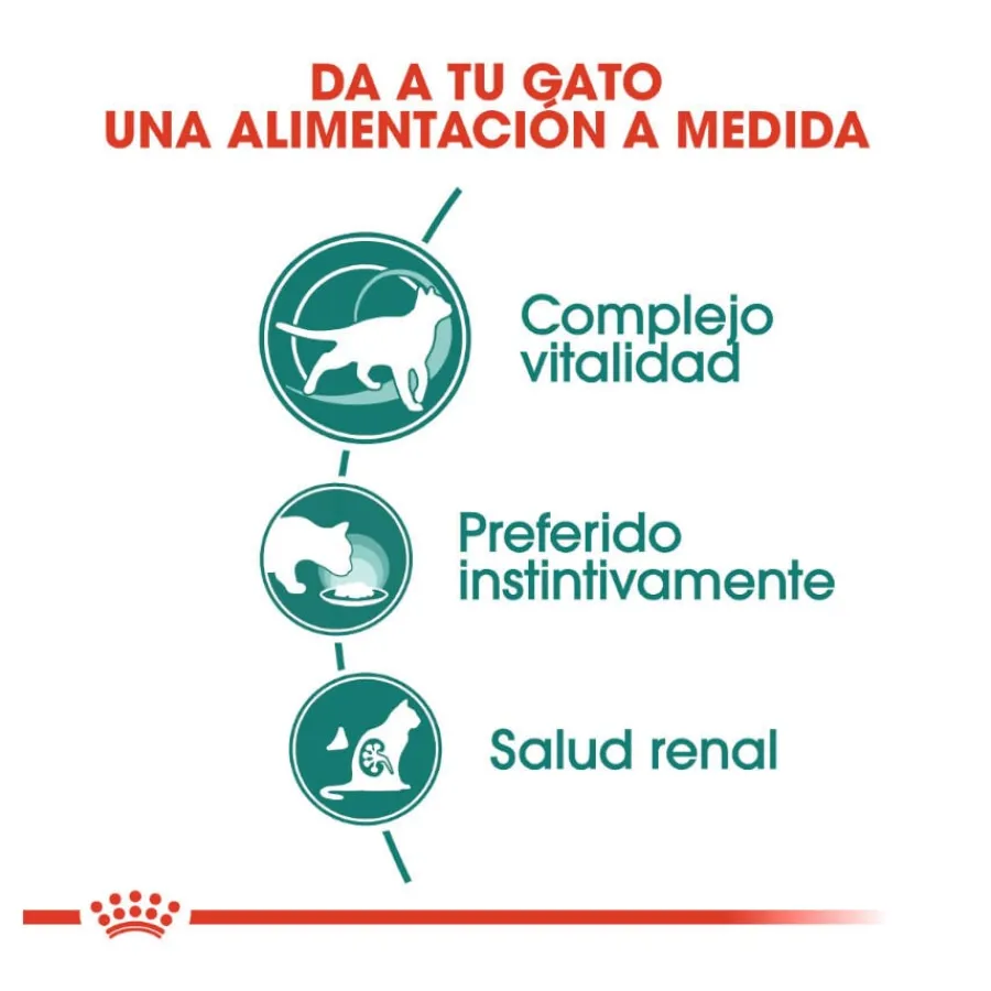 Royal Canin Senior 7+ Instinctive sobres para gatos Sale