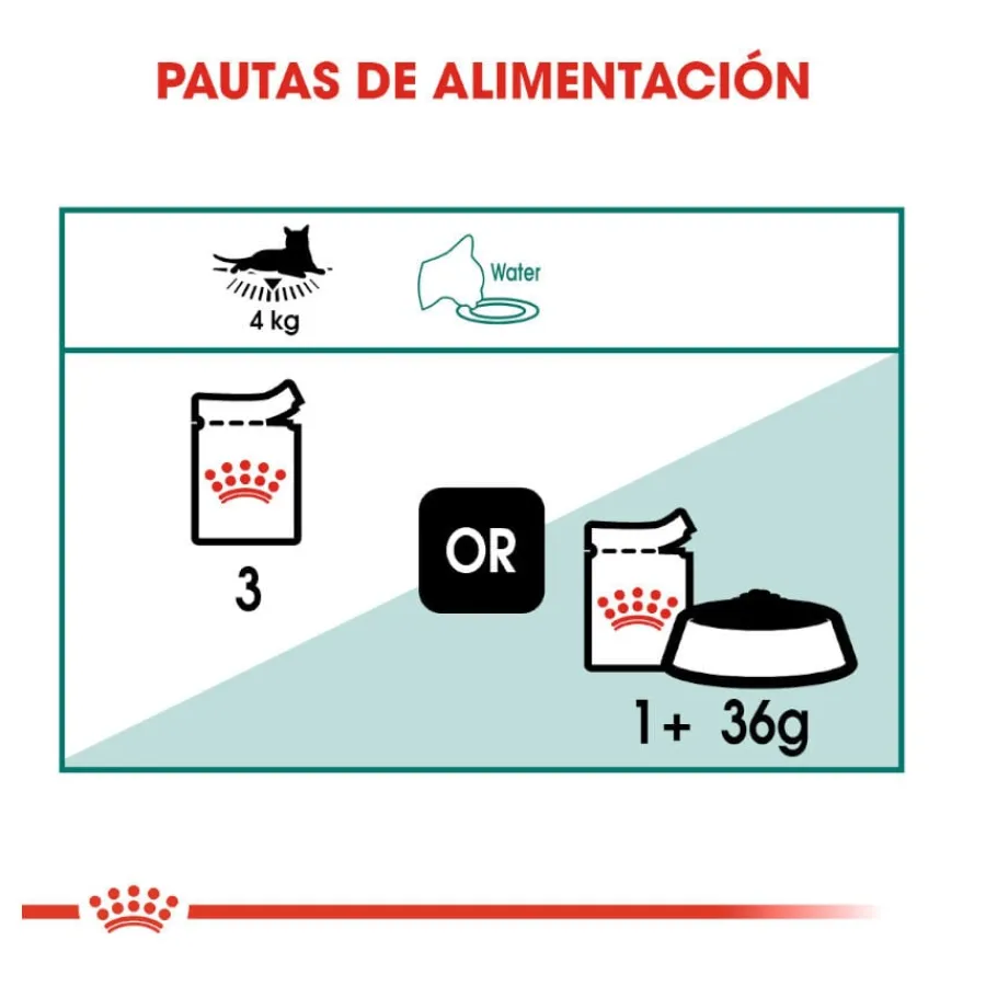 Royal Canin Senior 7+ Instinctive sobres para gatos Sale