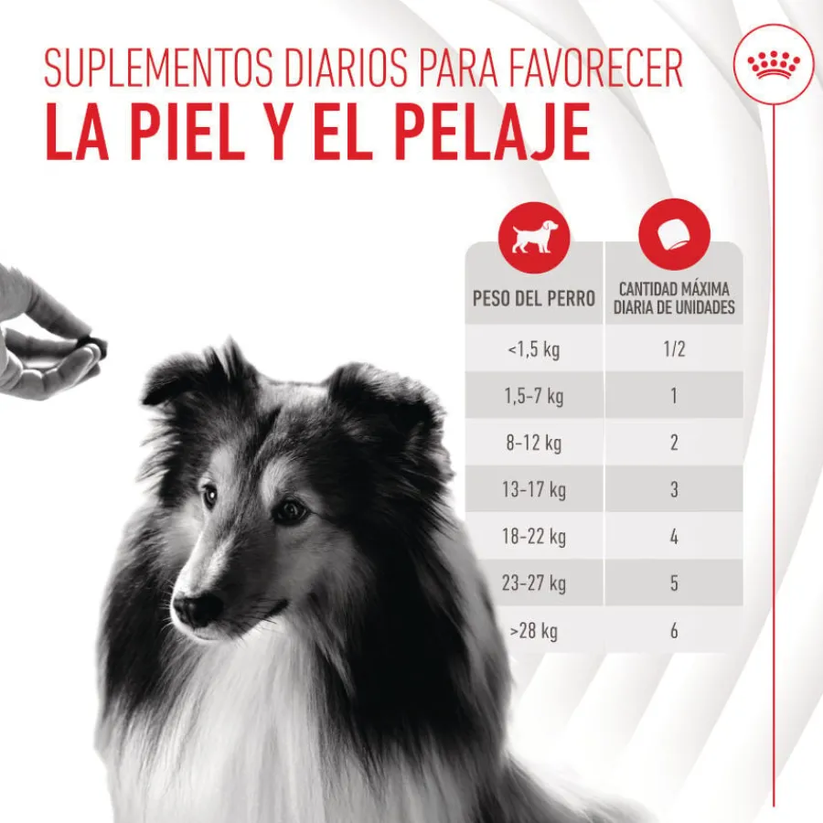 Royal Canin Skin & Coat Chews Adult Suplemento nutricional para perros Outlet