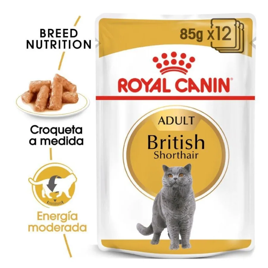 Royal Canin Sobre en Salsa British Shorthair Adult New