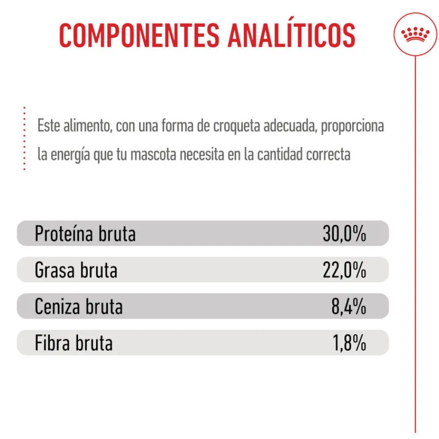Royal Canin Starter MotheryBaby Maxi pienso para perros Outlet