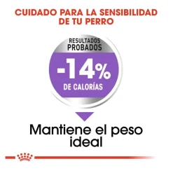 Royal Canin Sterilised Maxi pienso para perros Online