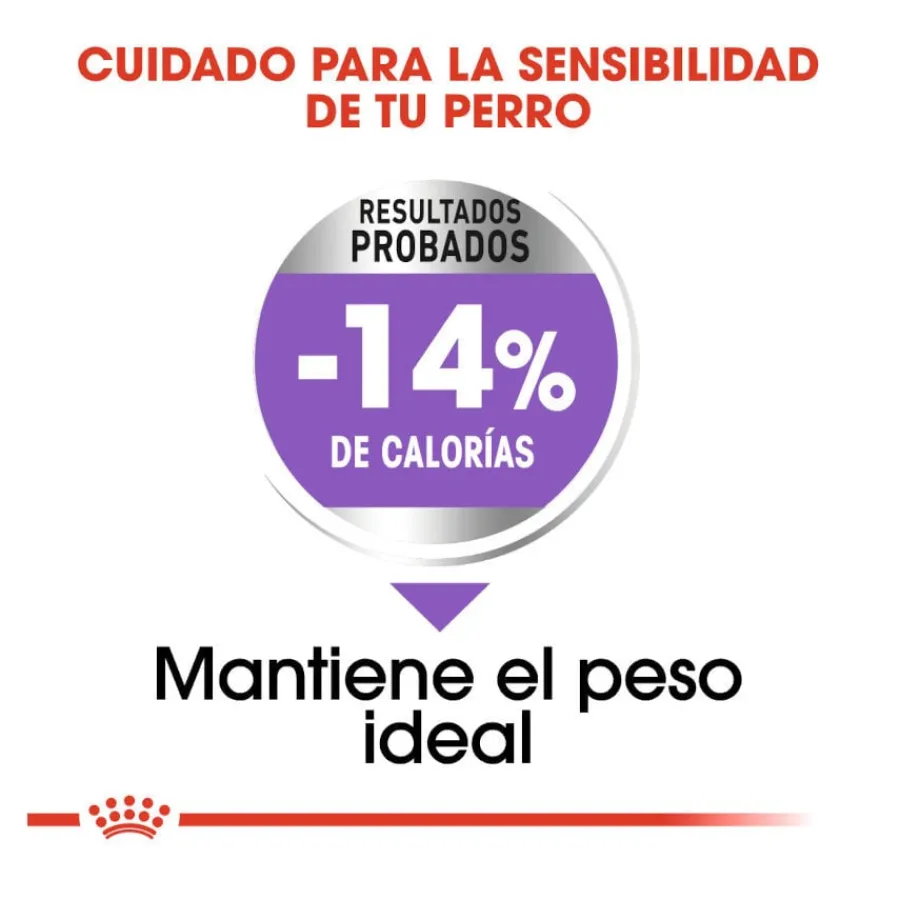 Royal Canin Sterilised Maxi pienso para perros Online