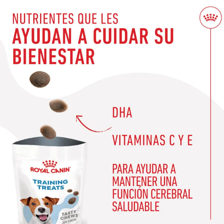 Royal Canin Training Treats Snacks para perros Sale