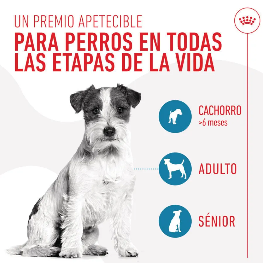 Royal Canin Training Treats Snacks para perros Sale