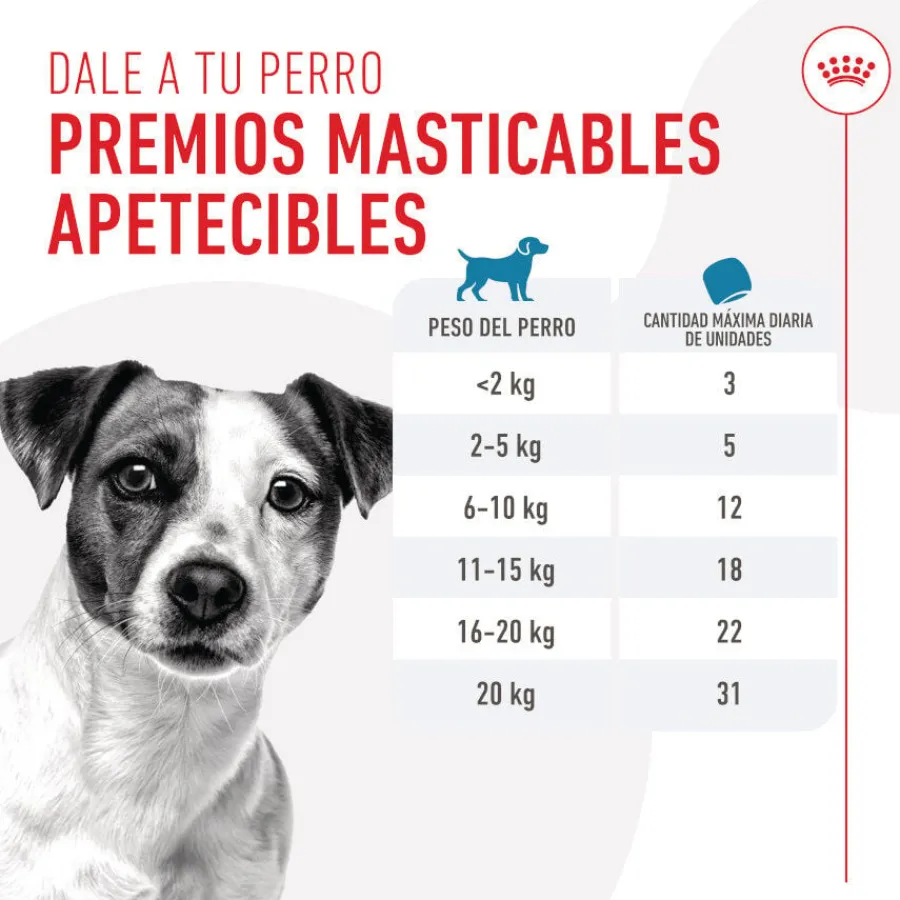 Royal Canin Training Treats Snacks para perros Sale