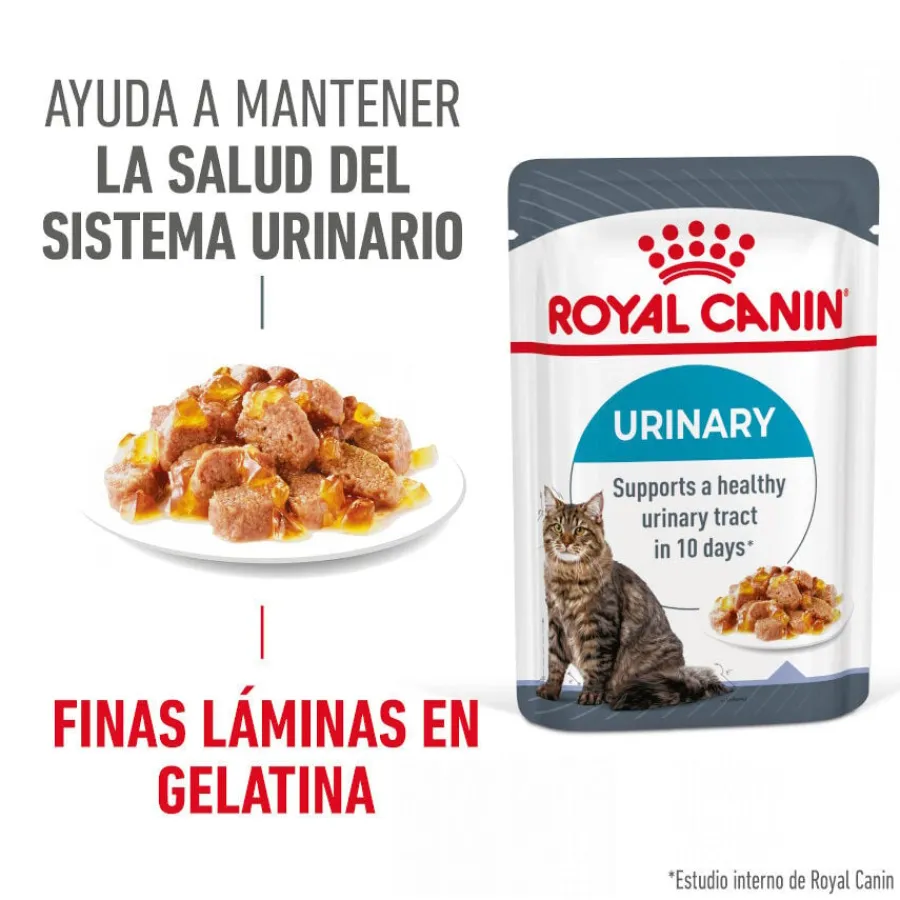 Royal Canin Urinary Care Sobre en Gelatina para gatos Clearance