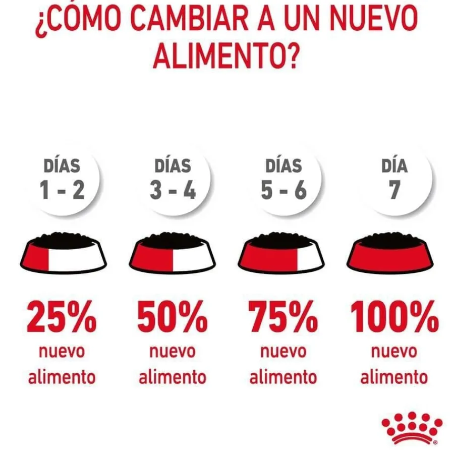 Royal Canin Urinary Sobre en Salsa para gatos Best
