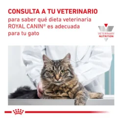 Royal Canin Veterinary Gastrointestinal Moderate Calorie sobre para gatos Online