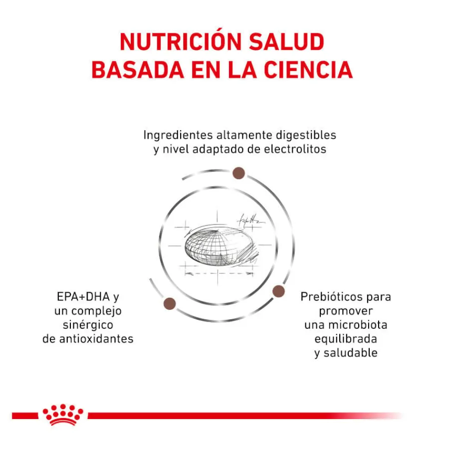 Royal Canin Veterinary Gastrointestinal Moderate Calorie pienso para gatos