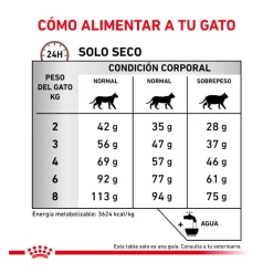 Royal Canin Veterinary Gastrointestinal Hairball pienso para gatos Hot