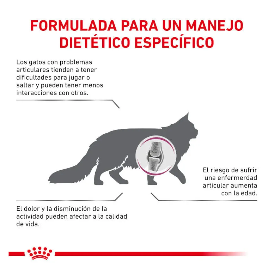 Royal Canin Veterinary Mobility pienso para gatos Hot