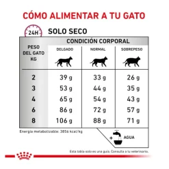 Royal Canin Veterinary Mobility pienso para gatos Hot
