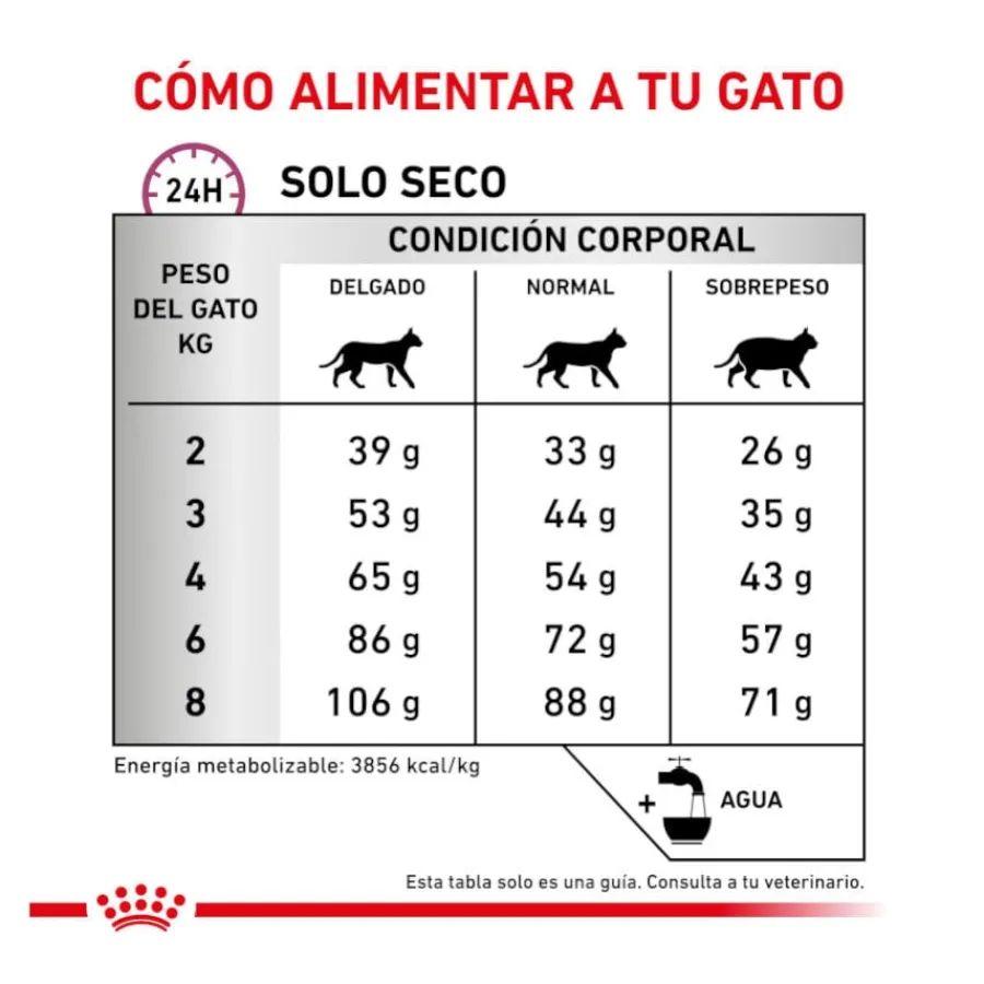 Royal Canin Veterinary Mobility pienso para gatos Hot
