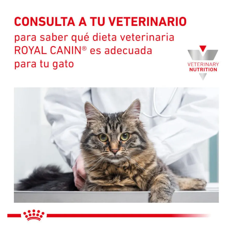 Royal Canin Veterinary Mobility pienso para gatos Hot