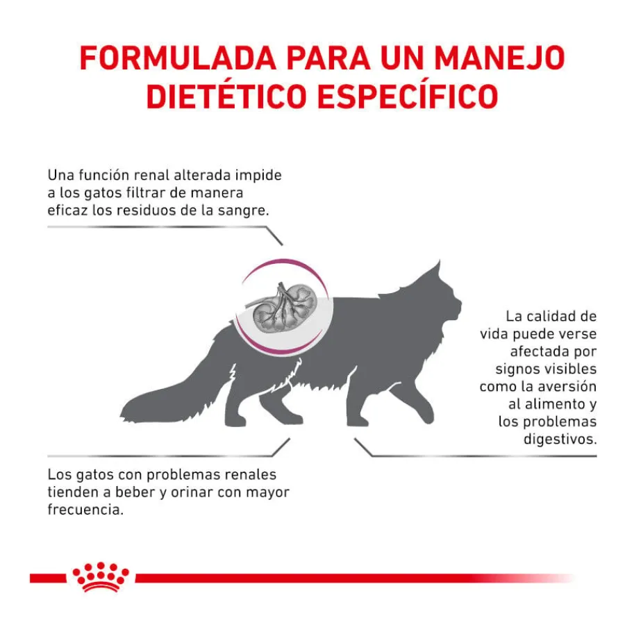 Royal Canin Veterinary Renal Select pienso para gatos Best