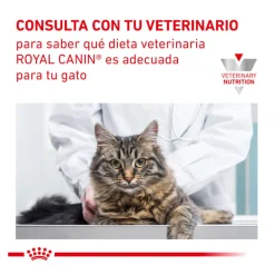 Royal Canin Veterinary Urinary pienso para gatos Online