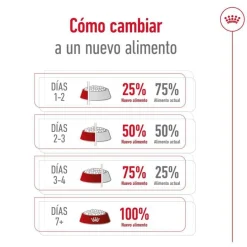 Royal Canin X-Small 8+ Mature pienso para perros New