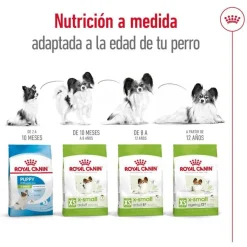 Royal Canin X-Small 8+ Mature pienso para perros New