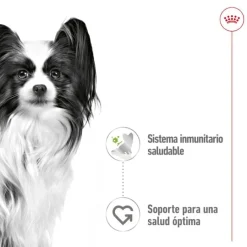 Royal Canin X-Small Adult sobres en salsa para perros Sale