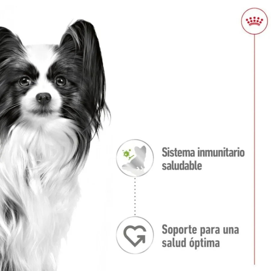 Royal Canin X-Small Adult sobres en salsa para perros Sale