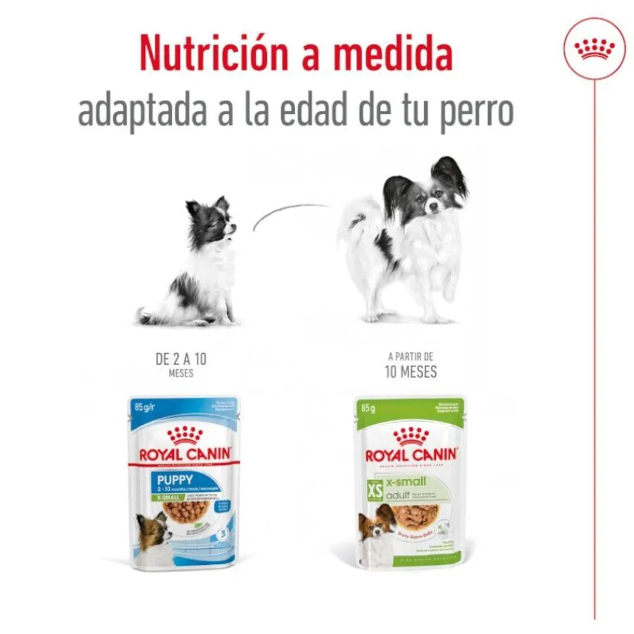 Royal Canin X-Small Adult sobres en salsa para perros Sale