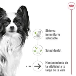 Royal Canin X-Small Ageing 12+ Adult pienso para perros Clearance