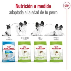 Royal Canin X-Small Ageing 12+ Adult pienso para perros Clearance