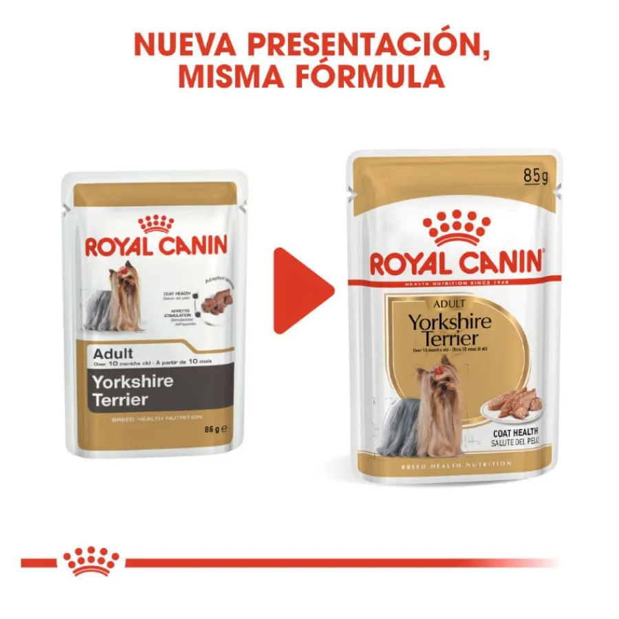 Royal Canin Yorkshire Terrier sobre para perros Outlet