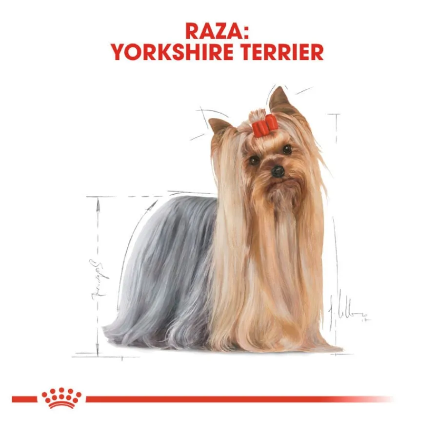 Royal Canin Yorkshire Terrier sobre para perros Outlet