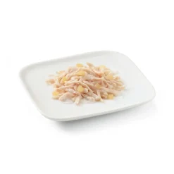 Schesir Adult pollo con manzana lata para perros Sale