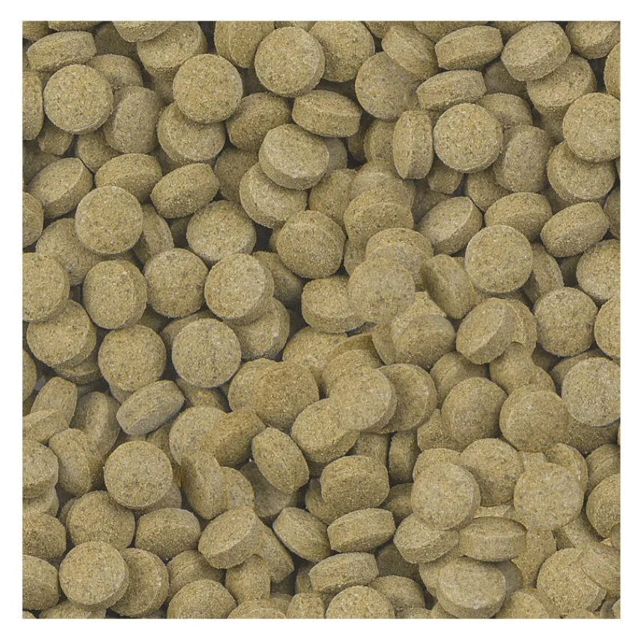 Sera Viformo Nature Alimento para peces de fondo New