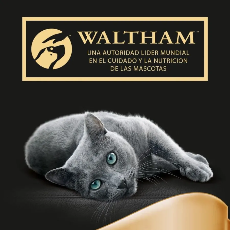 Sheba Selezione Carnes Salsa en Bolsita para Gatos - Multipack Sale