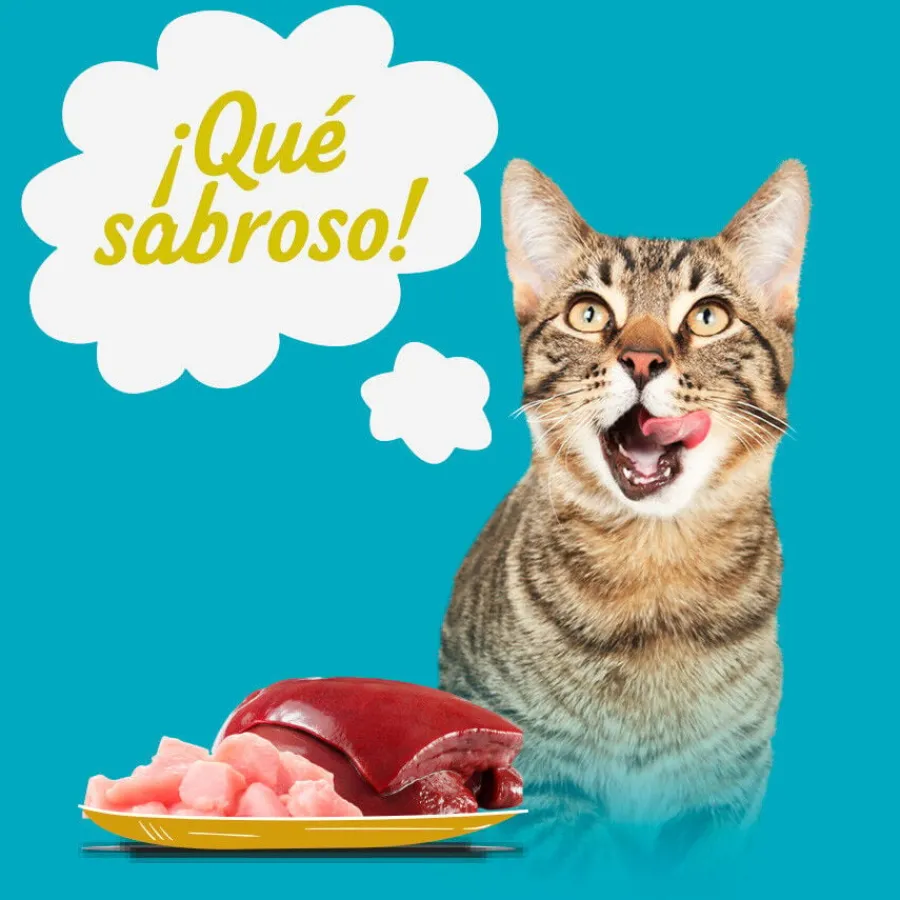 Start Multipack de Carne en Salsa para Gatos Best