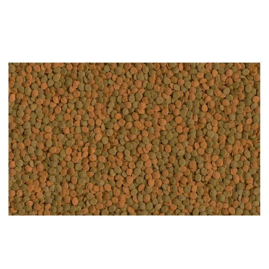Tetra Wafer Mix Tabletas para peces fitófagos y carnívoros Online
