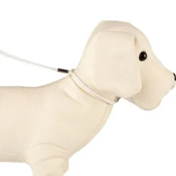 TK-Pet Collar con Correa de Exposición Blanca para perros New