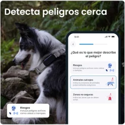 Tractive GPS Dog 6 Marrón Rastreador para perros Hot