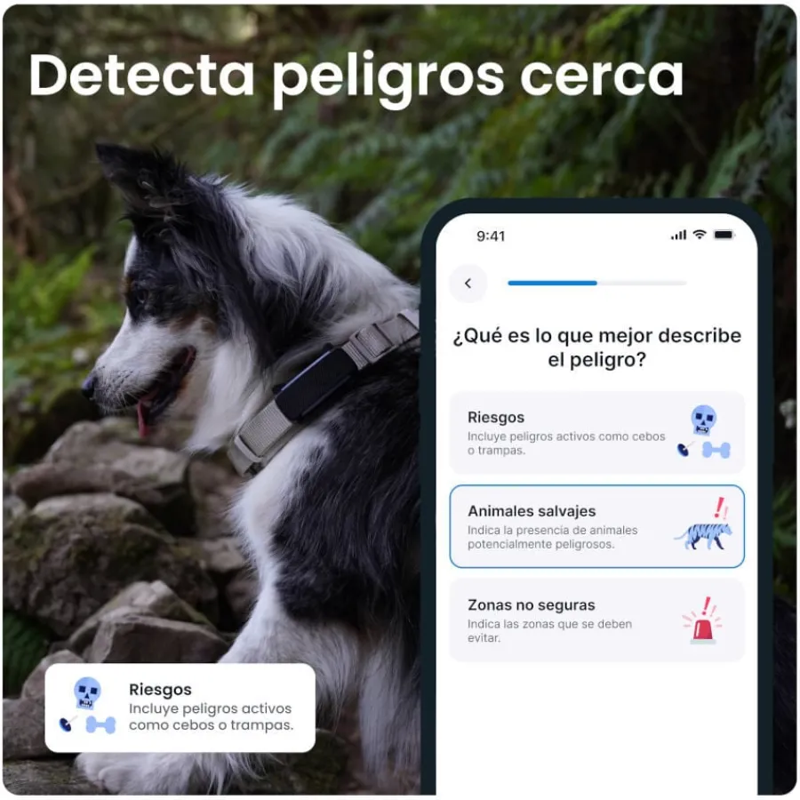 Tractive GPS Dog 6 Marrón Rastreador para perros Hot