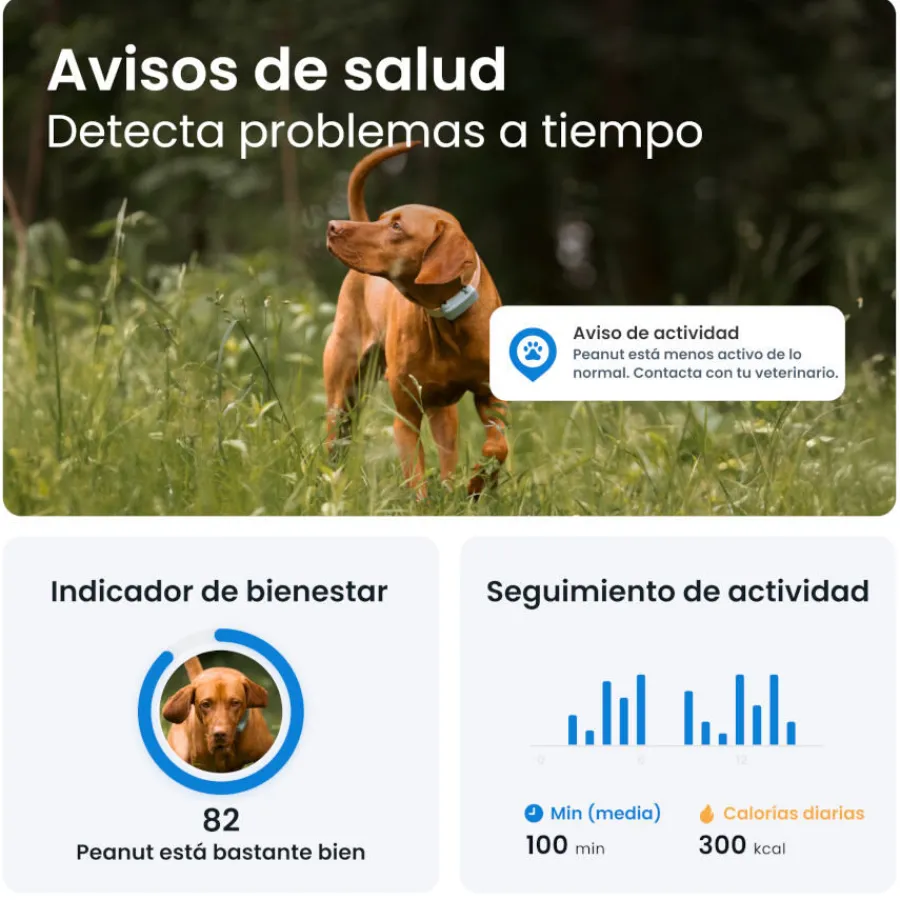 Tractive GPS Dog 6 Marrón Rastreador para perros Hot