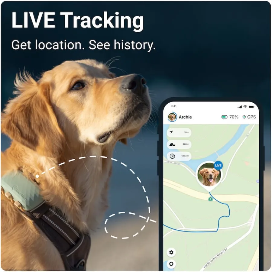 Tractive GPS Localizador XL para perros Outlet