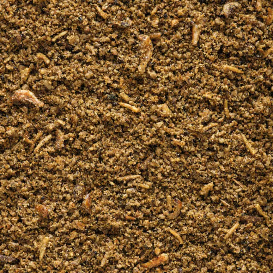 Versele-Laga Nutribird Paté de insectos para pájaros insectívoros Online