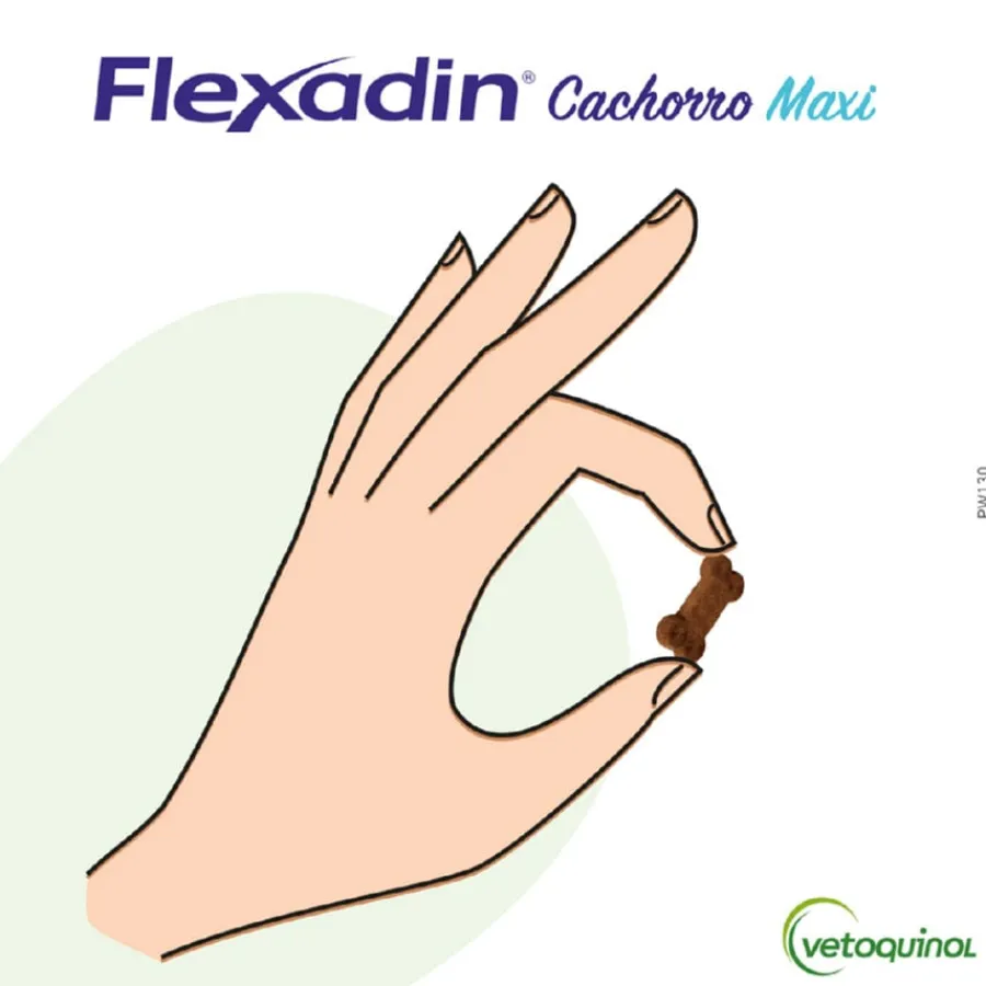 Vetoquinol Flexadin Young Maxi Condroprotector para cachorros Discount