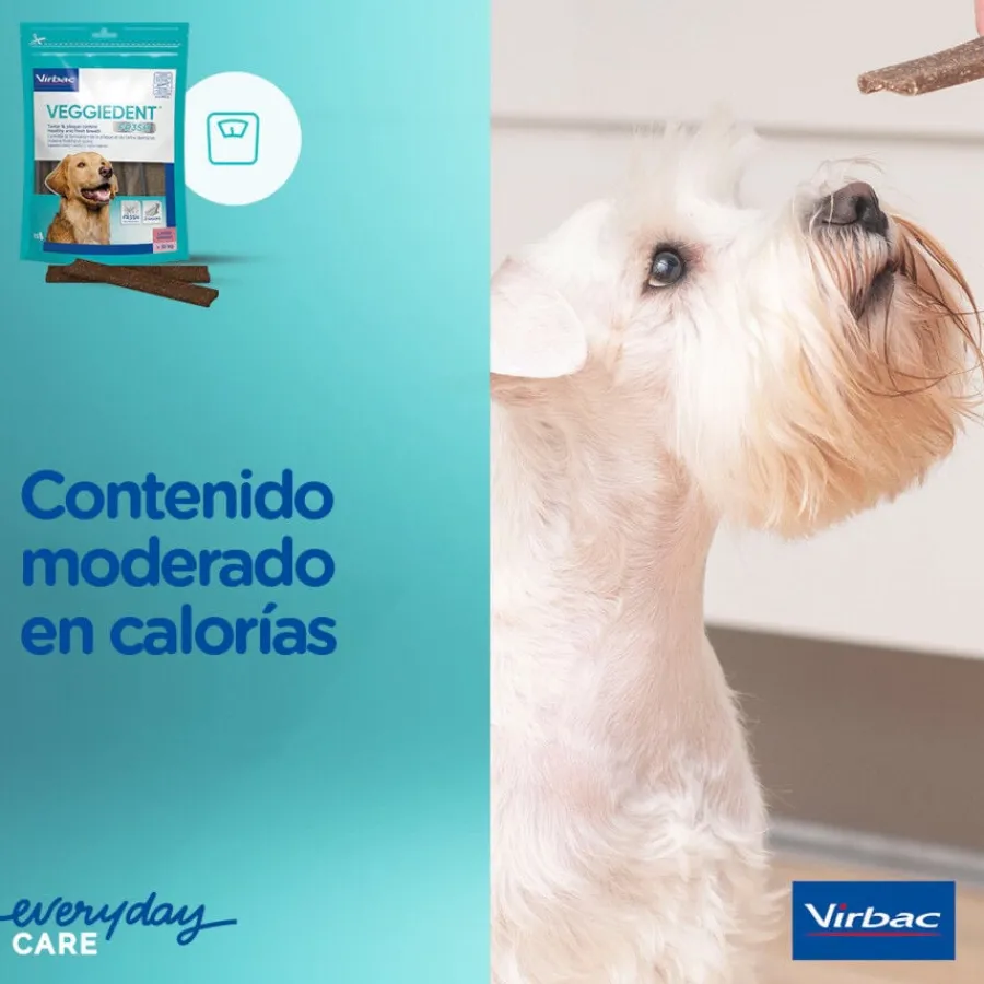 Virbac Snacks Dentales VeggieDent Fresh para perros Toy Online