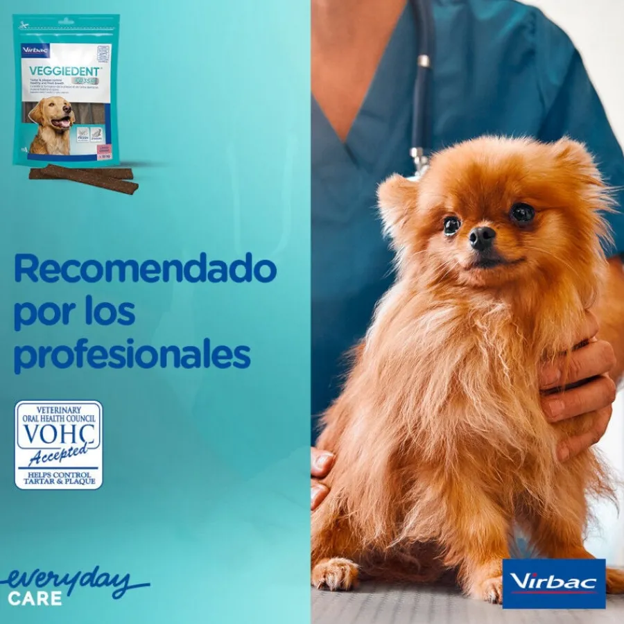 Virbac Snacks Dentales VeggieDent Fresh para perros Toy Online
