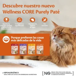 Wellness Core Adult Pollo y Pavo en Paté sobre para gatos Clearance