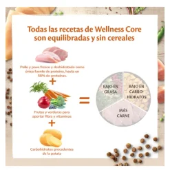 Wellness Core Adult Pollo y Pavo pienso para gatos Outlet
