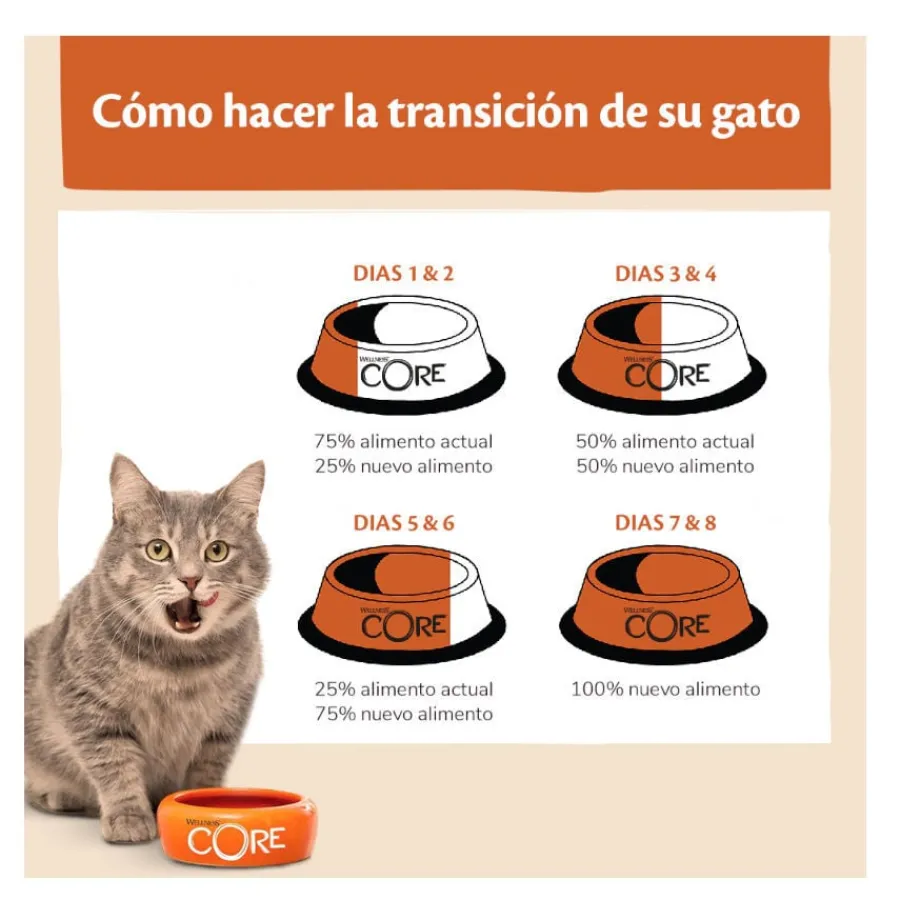 Wellness Core Adult Pollo y Pavo pienso para gatos Outlet