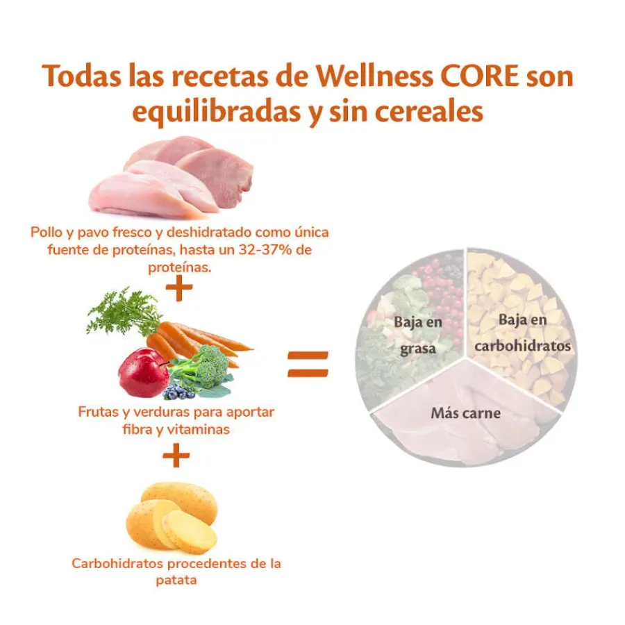 Wellness Core Adult Small Original Pavo y Pollo pienso para perros Best